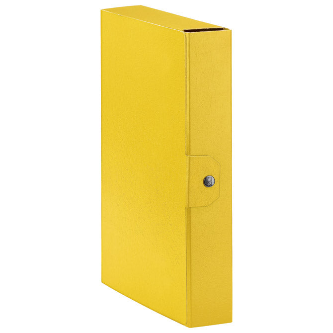 MAPA Z GUMBOM HRBET- 60MM A4 EUROBOX ESSELTE C2609 RUMENA