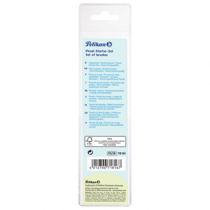 KIST ZA VODENE BOJE 2,4,6 PLUS TEMPERE 6,10 U PVC VREĆICI PELIKAN 718163 (400142597) BLISTER