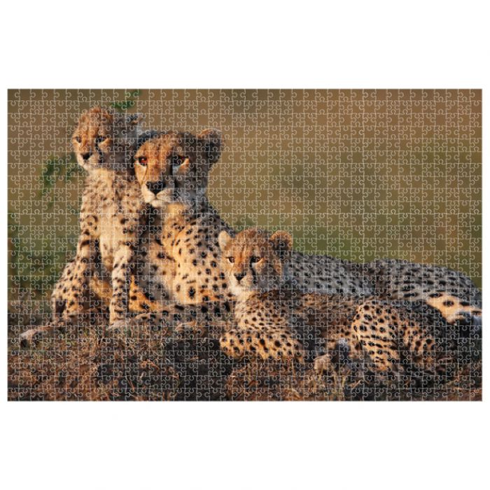 PUZZLE 1000 KOM ANIMAL PLANET CHEETAH DIAKAKIS 000570697
