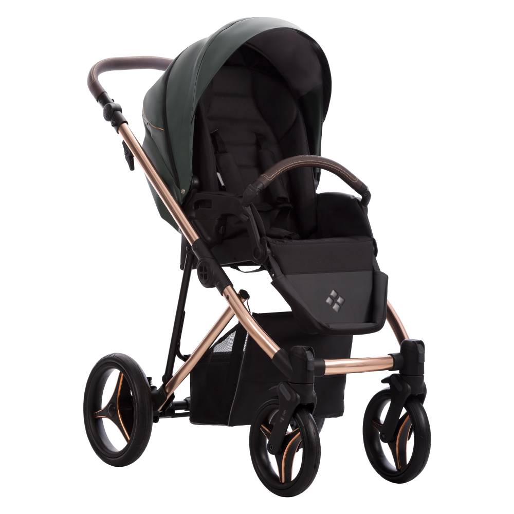 Dječja kolica Bebetto Flavio Premium Class Stella 06 2u1