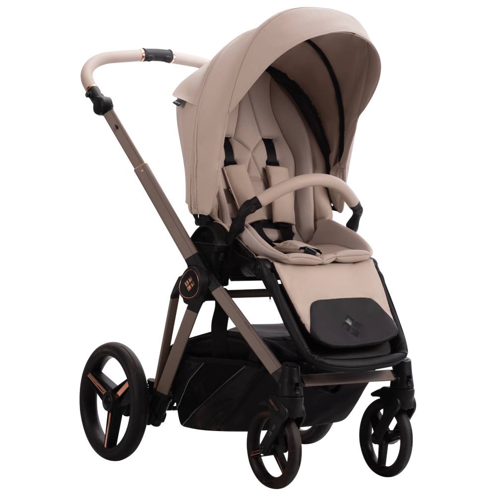 Dječja kolica Bebetto Monti Pro 04/Cashmere 3u1 B
