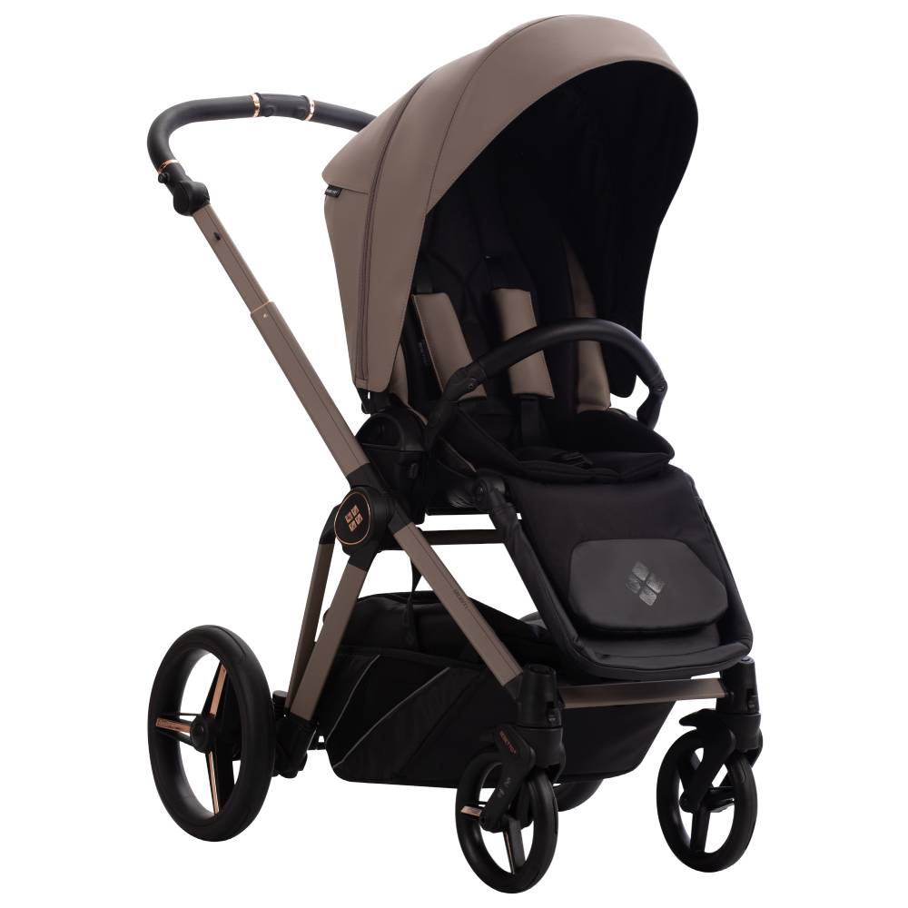 Dječja kolica Bebetto Monti Pro 05/Cashmere 3u1 B