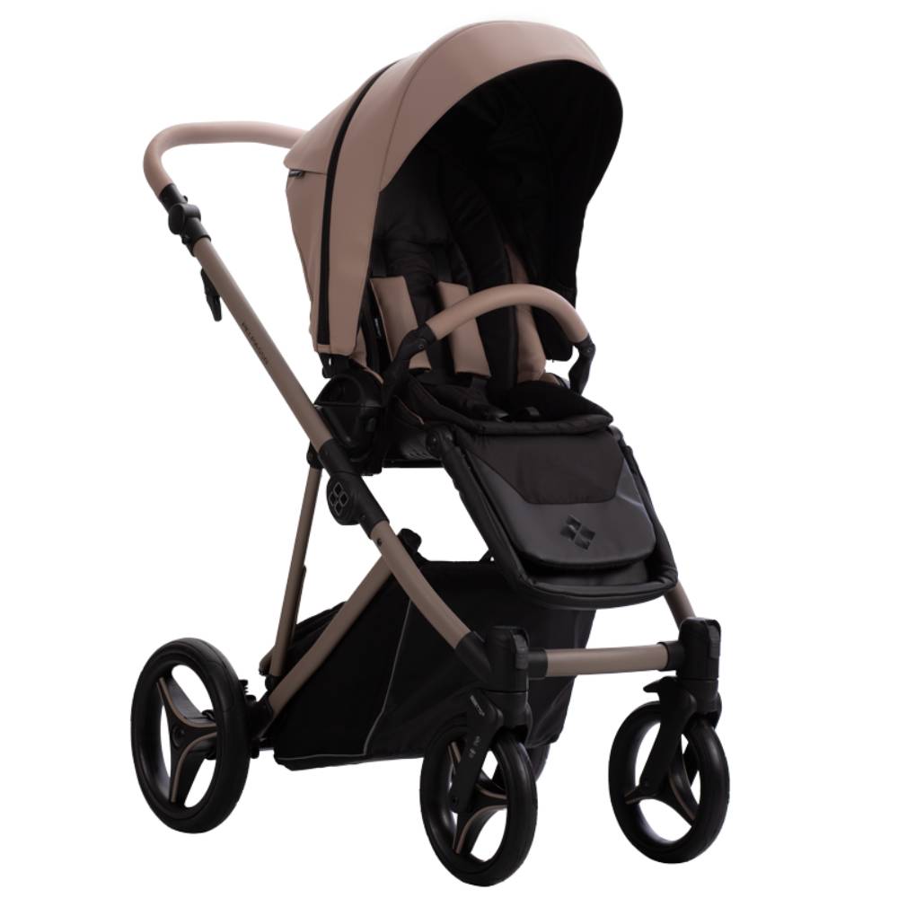 Dječja kolica Bebetto Pelpasso PRO 01/Cashmere 2u1