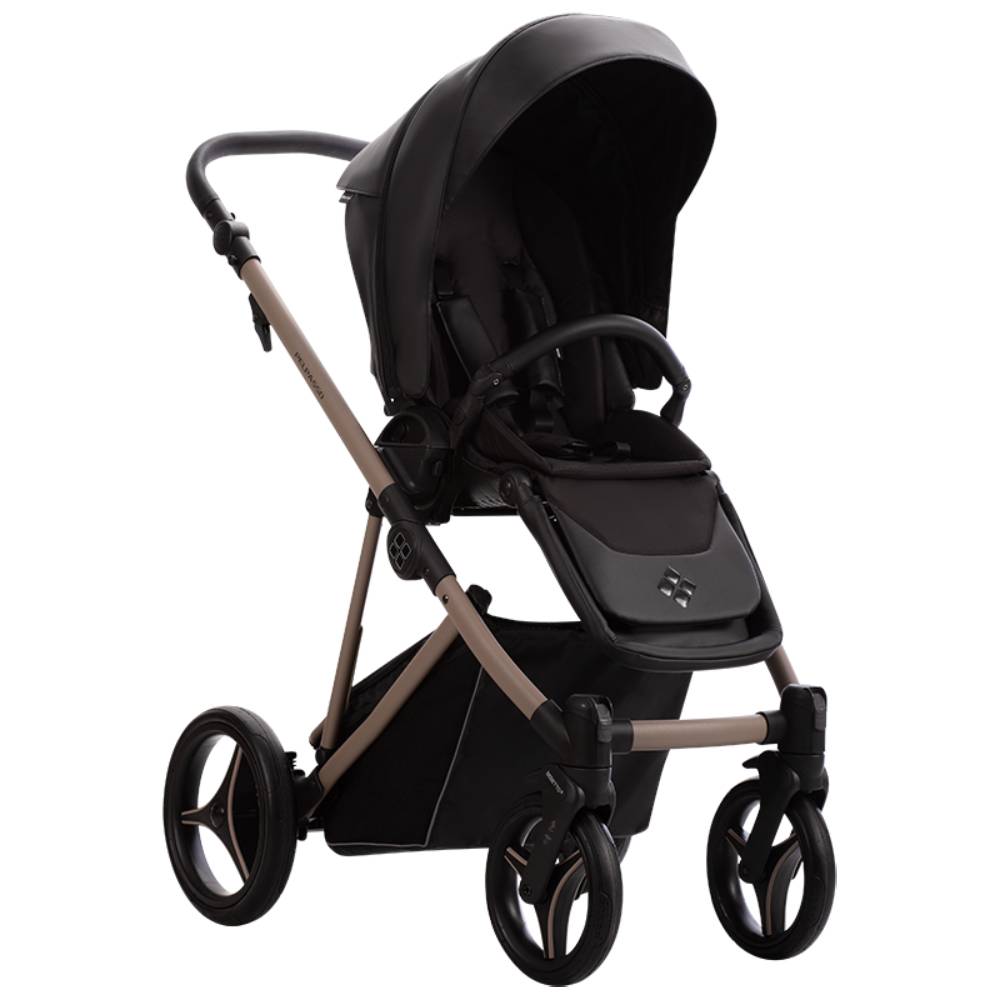 Dječja kolica Bebetto Pelpasso PRO 03/Cashmere 3u1 B
