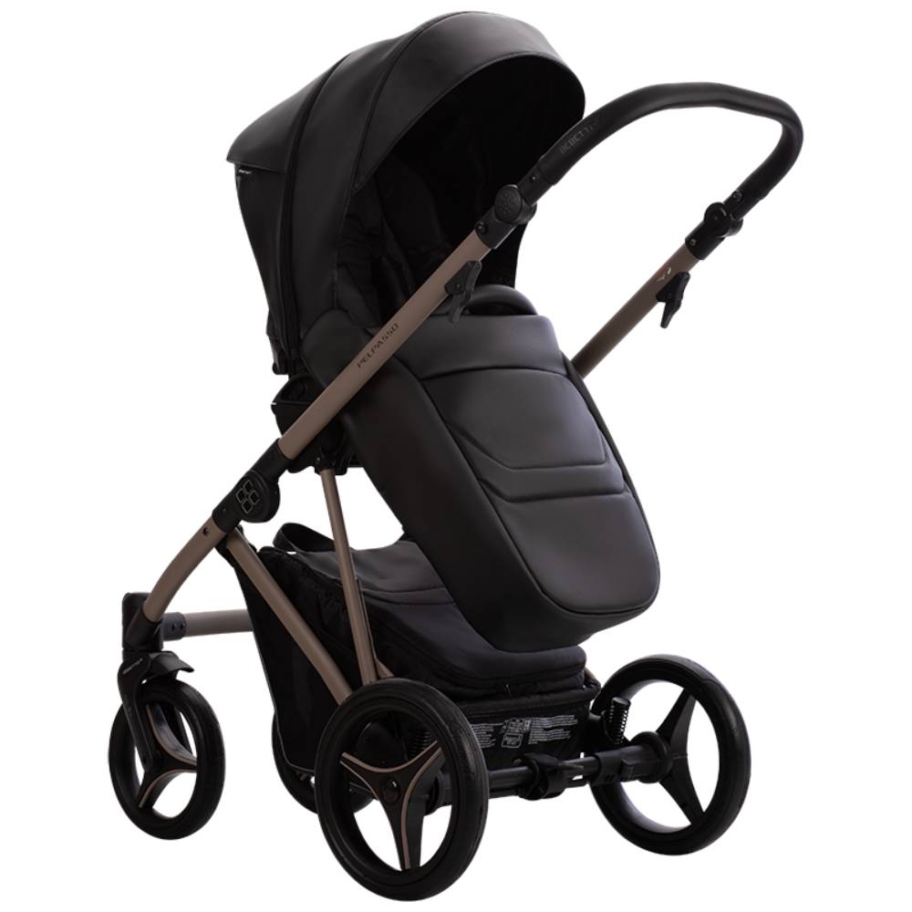 Dječja kolica Bebetto Pelpasso PRO 03/Cashmere 3u1 B