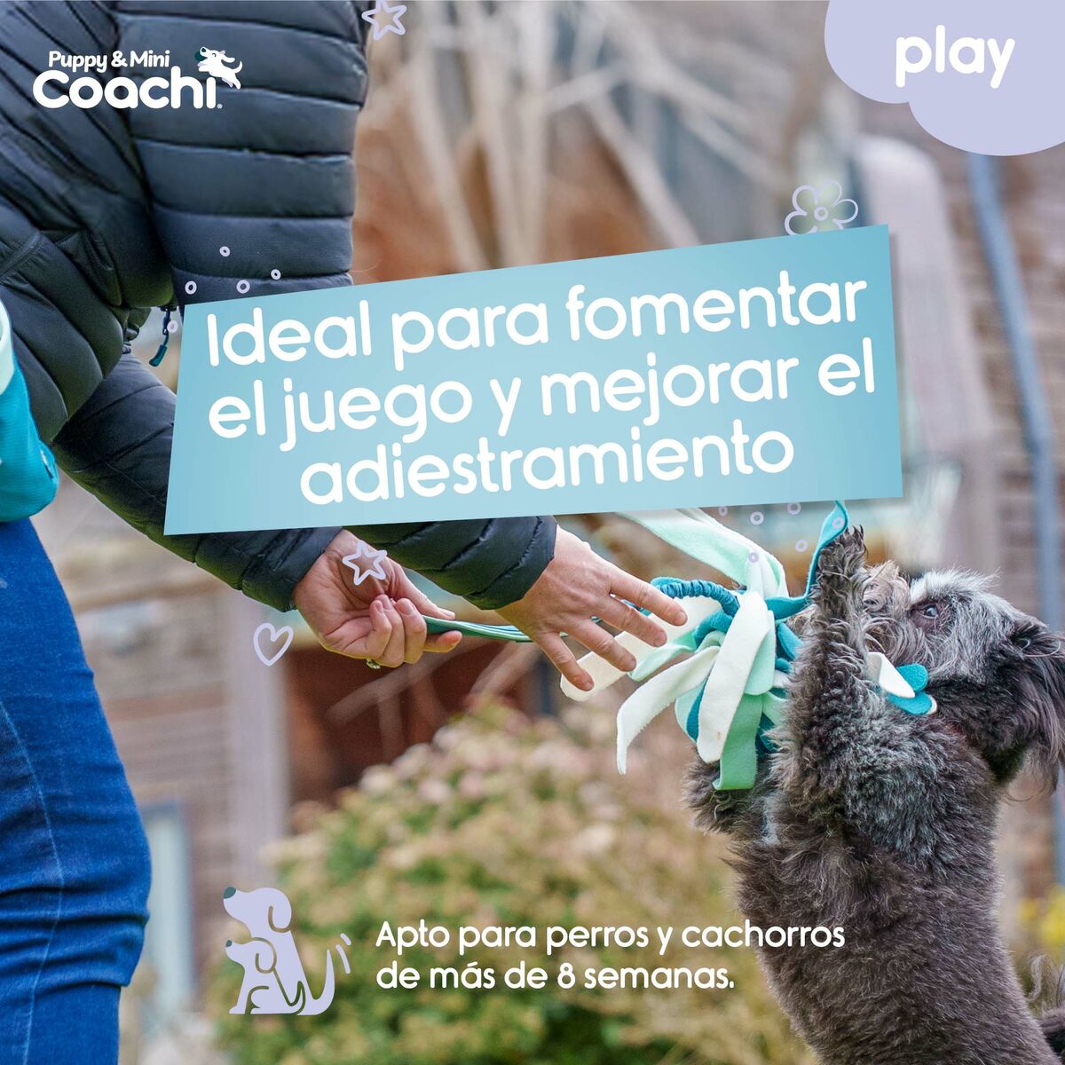 Pseća igračka Coachi PUPPY & MINI TUGGI SPIDER Zelena