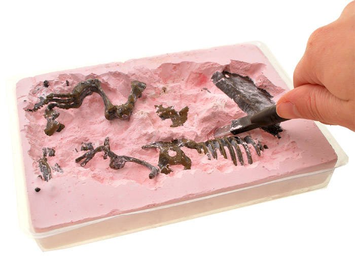 Set za otkopavanje skeleta T-Rexa