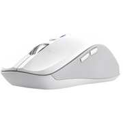 Trust 25674 miš Univerzalno Ambidekster Bluetooth 3200 DPI