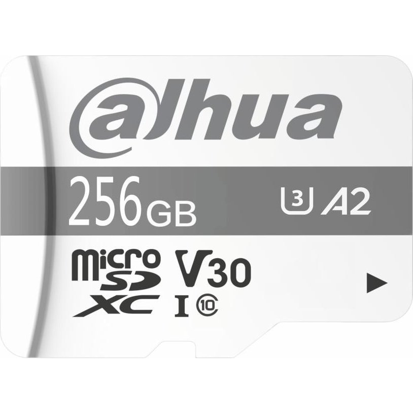 Dahua Technology P100 256 GB MicroSD UHS-I 10.razred
