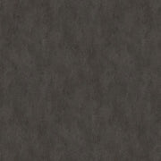 Mocca 37978 DC