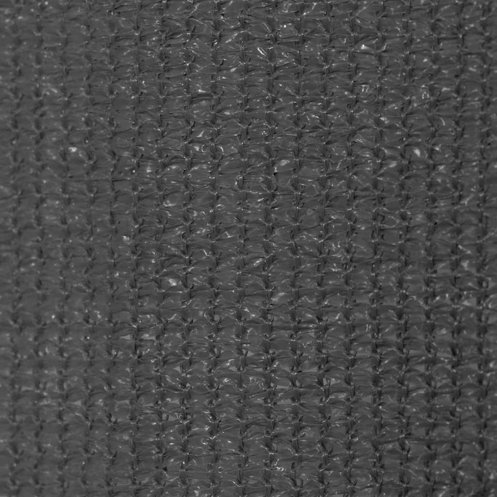 Vanjsko Sjenilo za Zatamnjivanje 220x230 cm Antracit