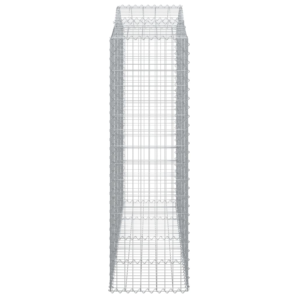 Lučne gabionske košare 12kom 200x50x160/180cm pocinčano željezo