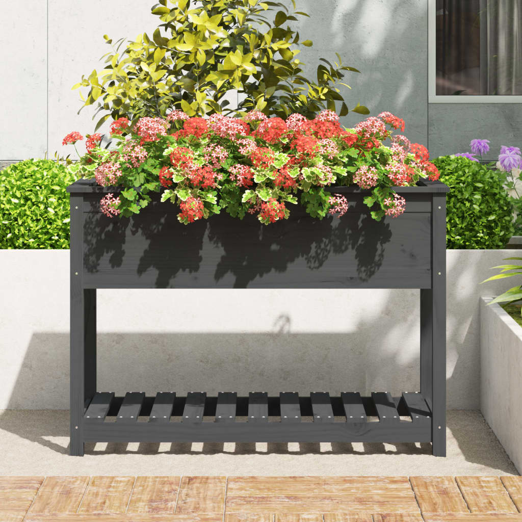 Sadilica s policom siva 111,5x54x81 cm od masivne borovine