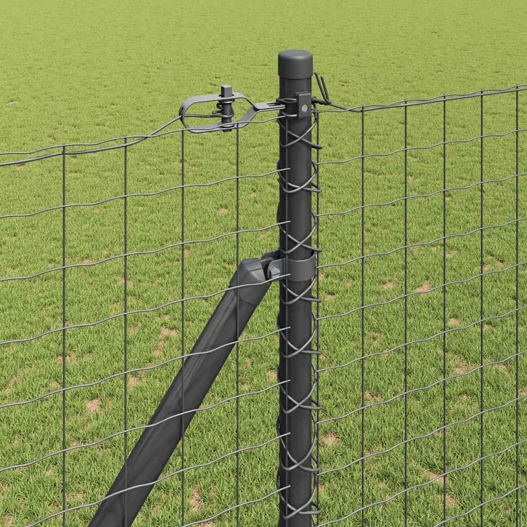 Zavareno žičano ograđivanje s bodljama 10 x 1,6 m (Š x V)