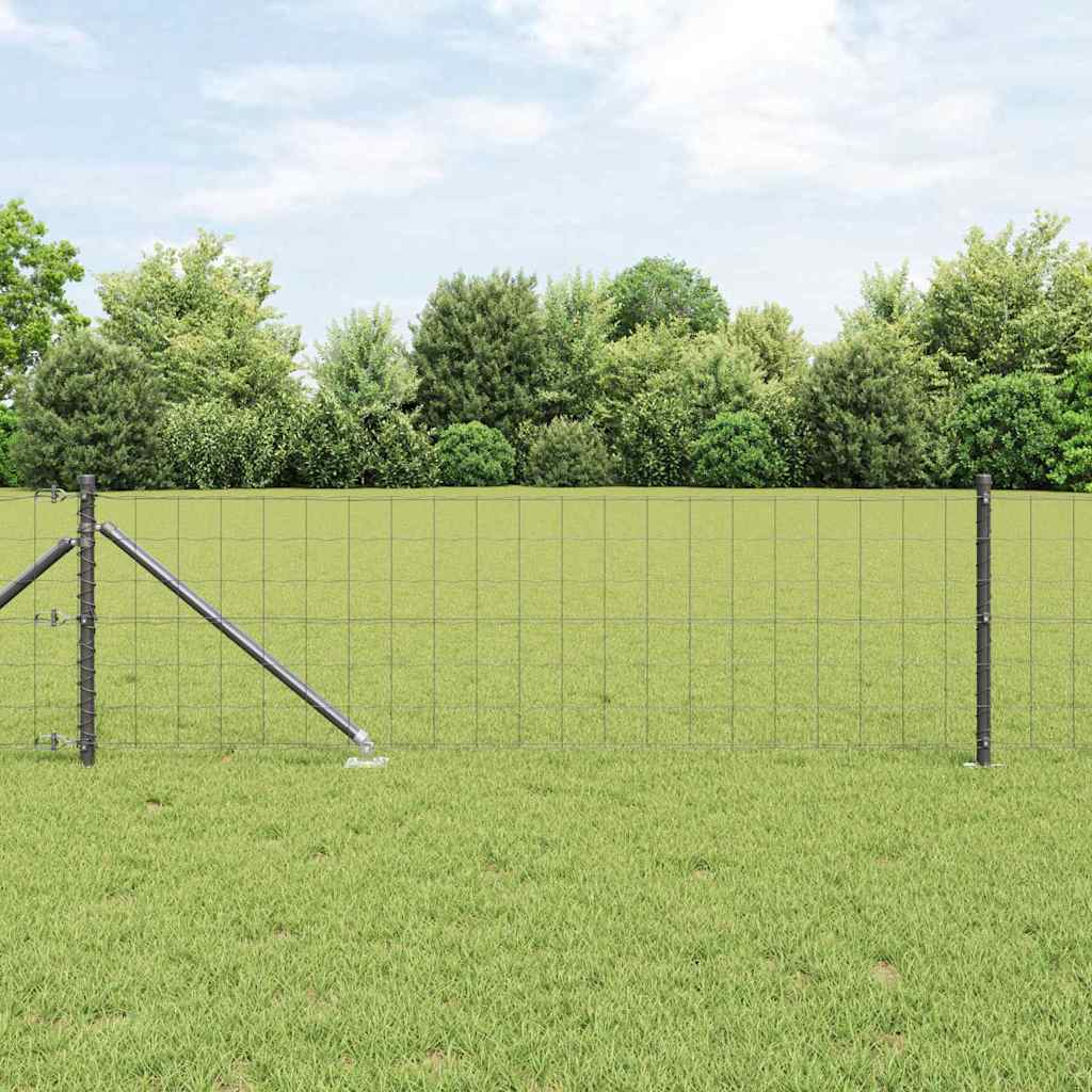 Zavareno žičano ograđivanje s bodljama 10 x 0,8 m (Š x V)