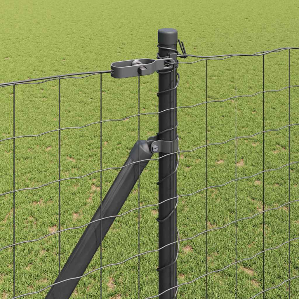 Zavareno žičano ograđivanje s bodljama 10 x 1,6 m (Š x V)