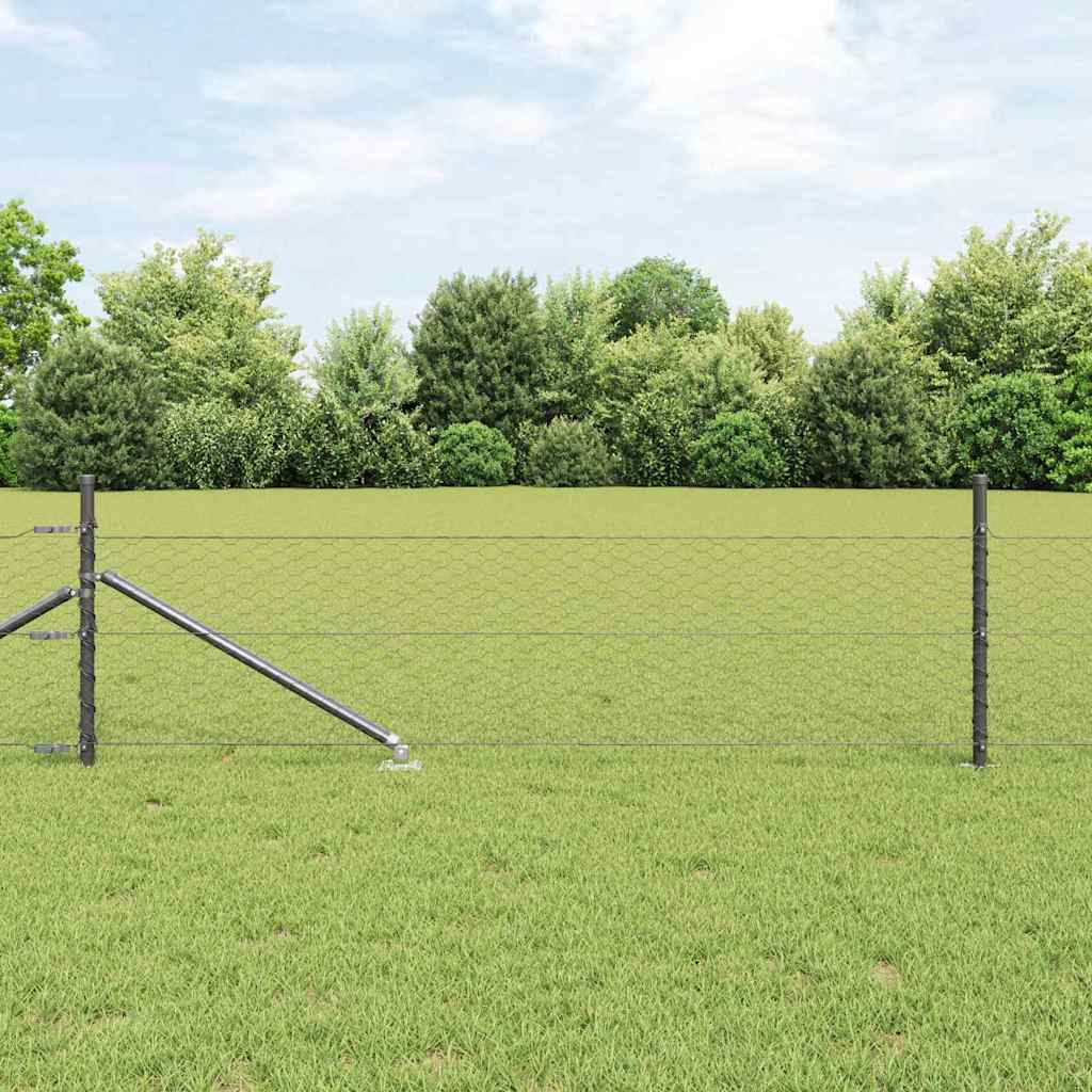 Zavareno žičano ograđivanje s bodljama 50 x 0,5 m (Š x V)