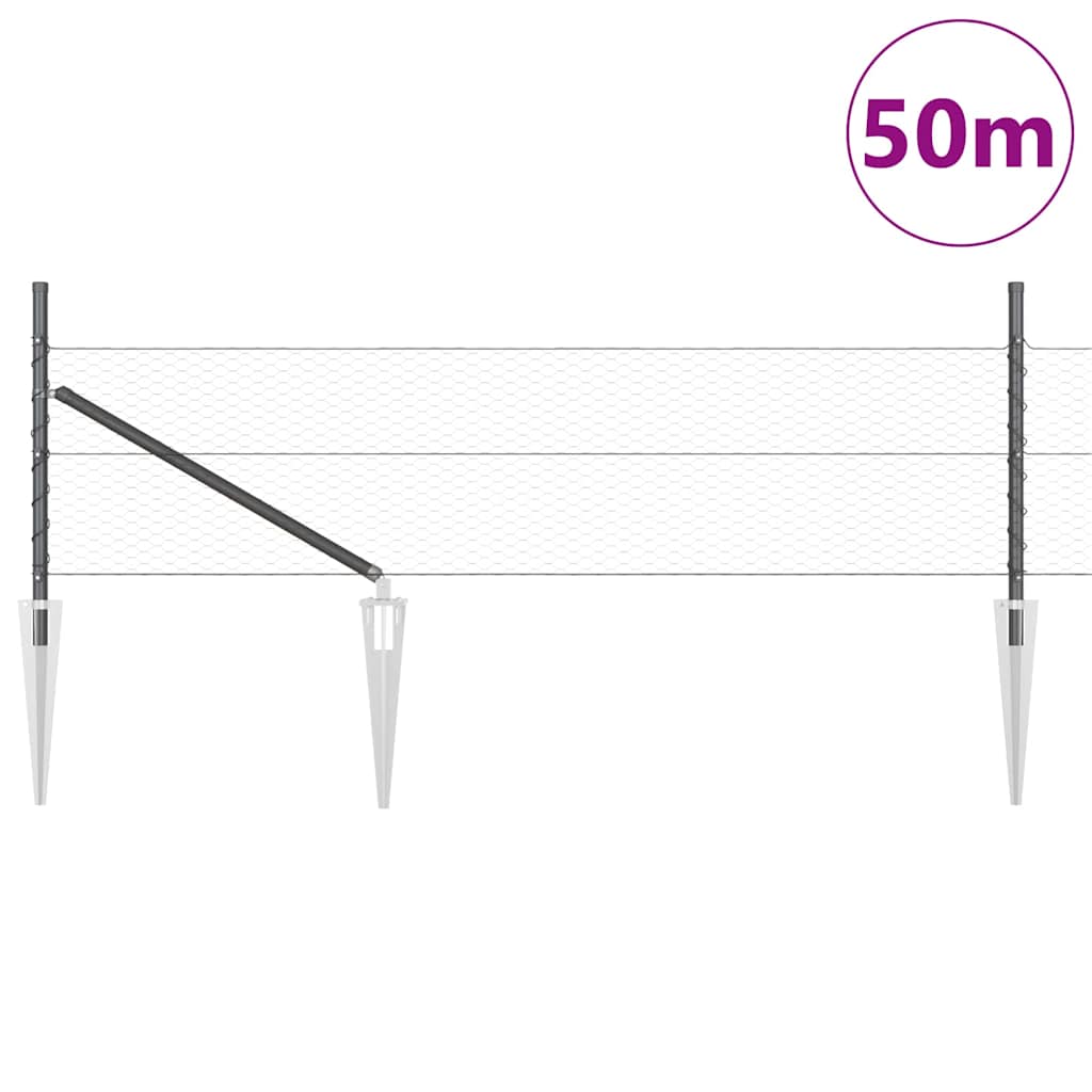 Zavareno žičano ograđivanje s bodljama 50 x 0,8 m (Š x V)