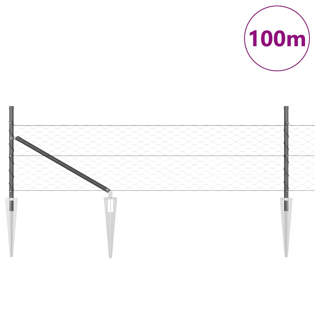 Zavareno žičano ograđivanje s bodljama 100 x 0,5 m (Š x V)