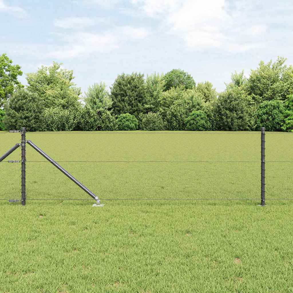 Zavareno žičano ograđivanje s bodljama 100 x 0,6 m (Š x V)