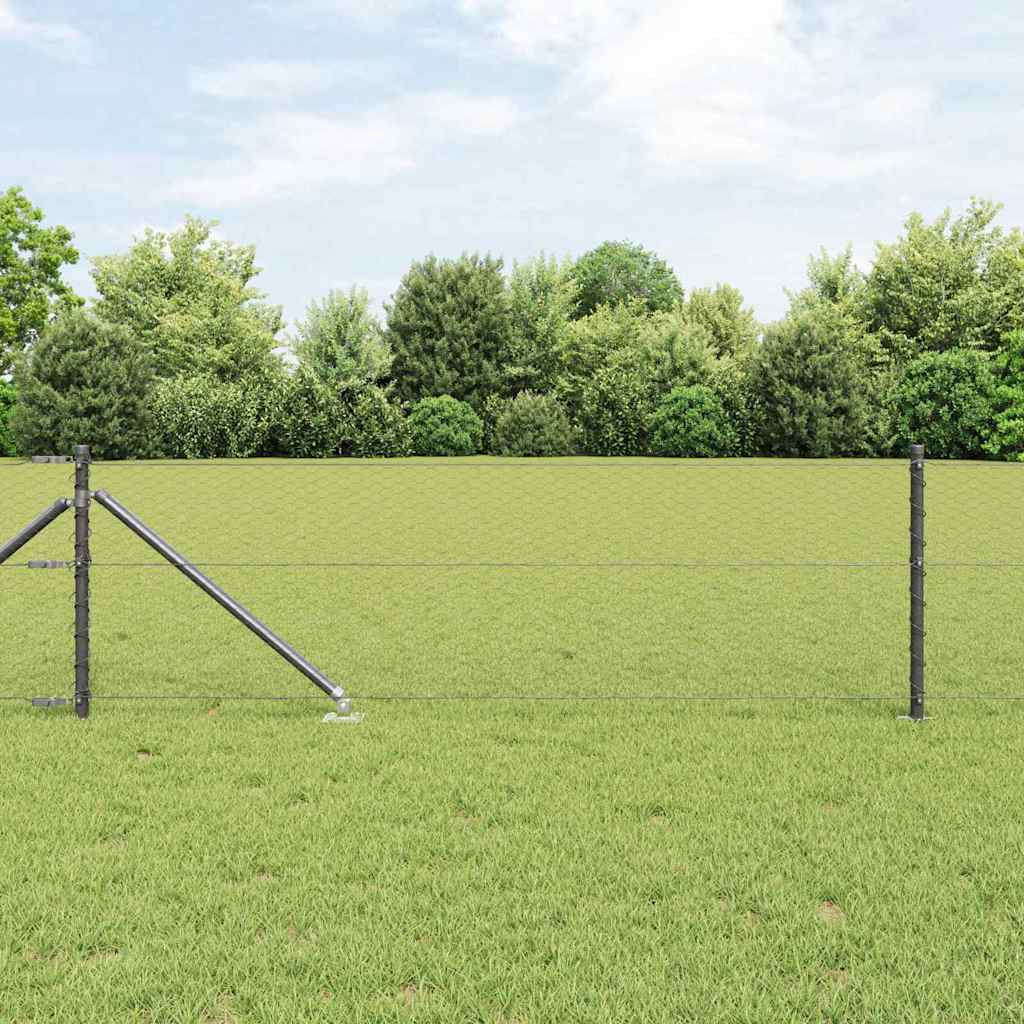 Zavareno žičano ograđivanje s bodljama 100 x 0,6 m (Š x V)