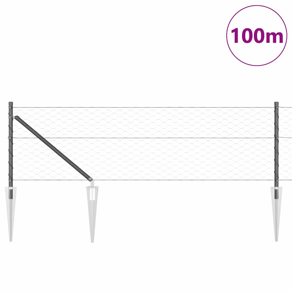 Zavareno žičano ograđivanje s bodljama 100 x 0,6 m (Š x V)