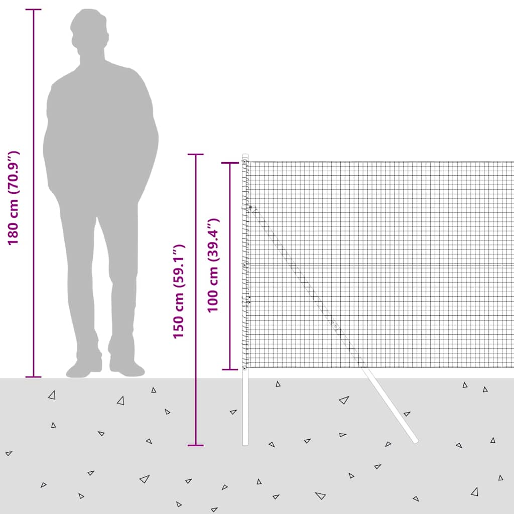 Temeljna zavarena žičana ograda 50 x 1 m Čelik premazan PVC-om