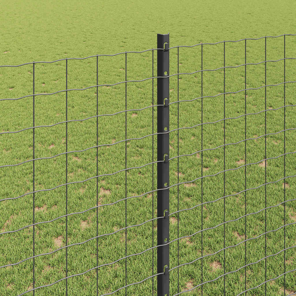 Zavarena žičana ograda 10 x 1,6 m (Š x V) Čelik premazan PVC-om