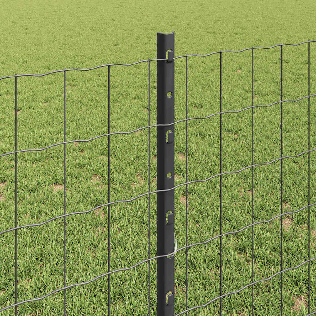 Zavarena žičana ograda 10 x 0,8 m (Š x V) Čelik premazan PVC-om