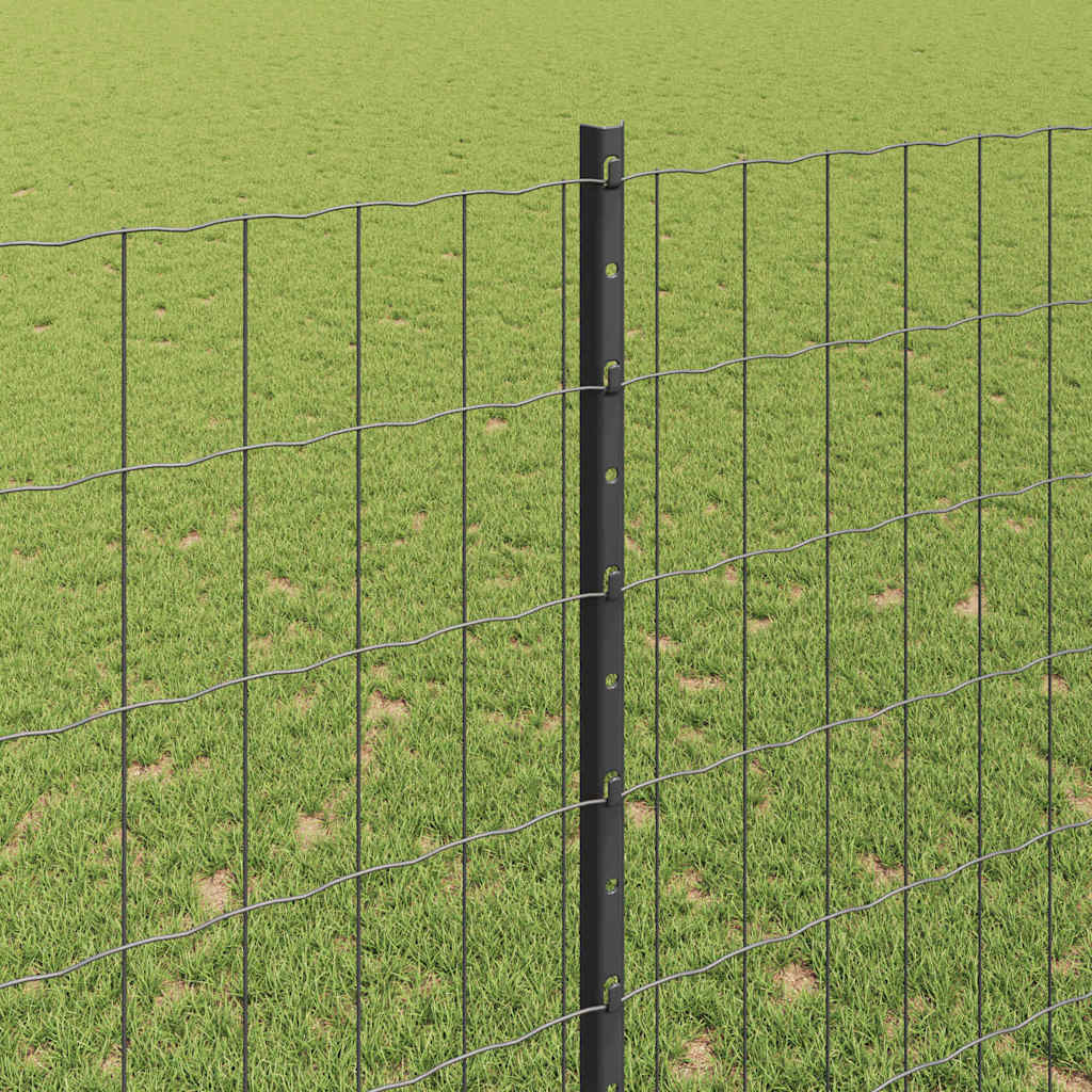 Zavarena žičana ograda 10 x 1,6 m (Š x V) Čelik premazan PVC-om
