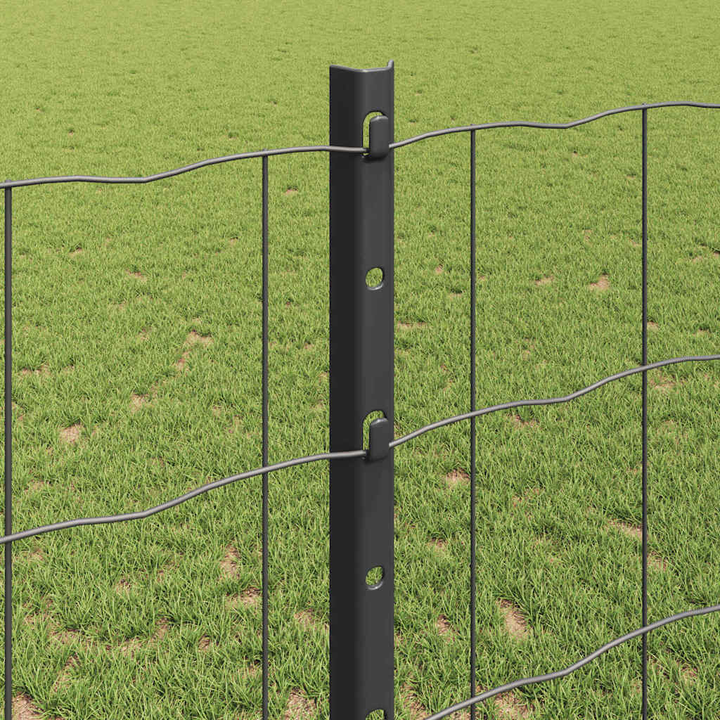 Zavarena žičana ograda 10 x 1,2 m (Š x V) Čelik premazan PVC-om