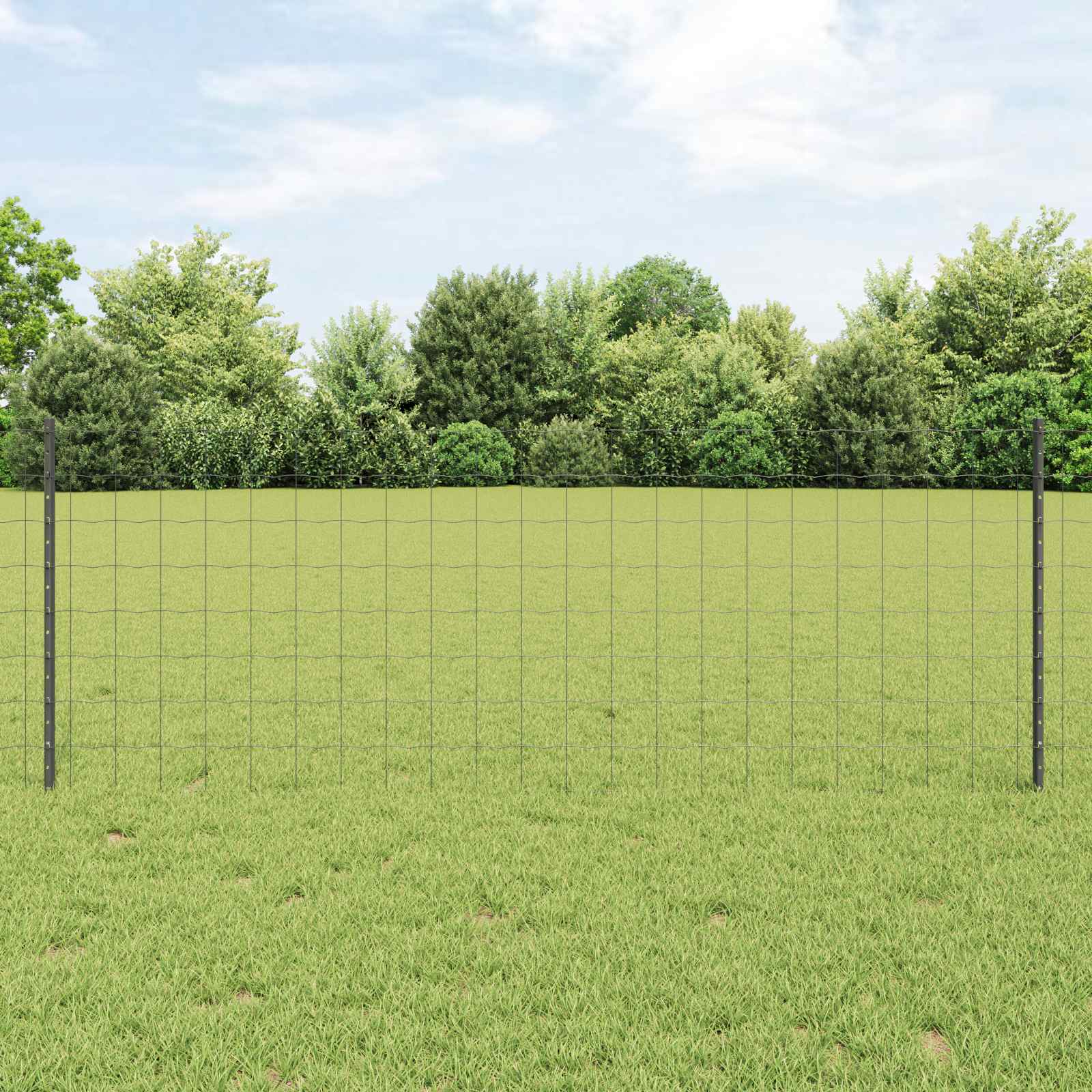 Zavarena žičana ograda 10 x 0,8 m (Š x V) Čelik premazan PVC-om