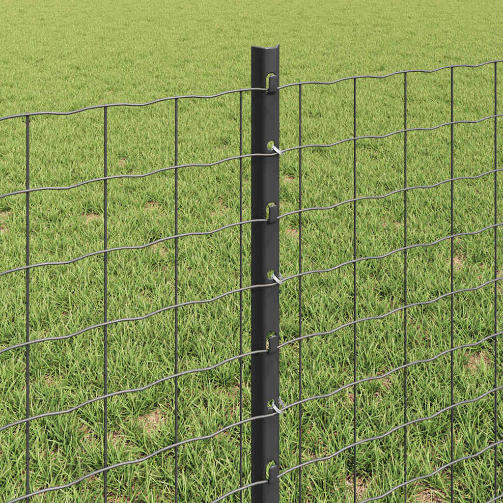 Zavarena žičana ograda 25 x 0,6 m (Š x V) Čelik premazan PVC-om