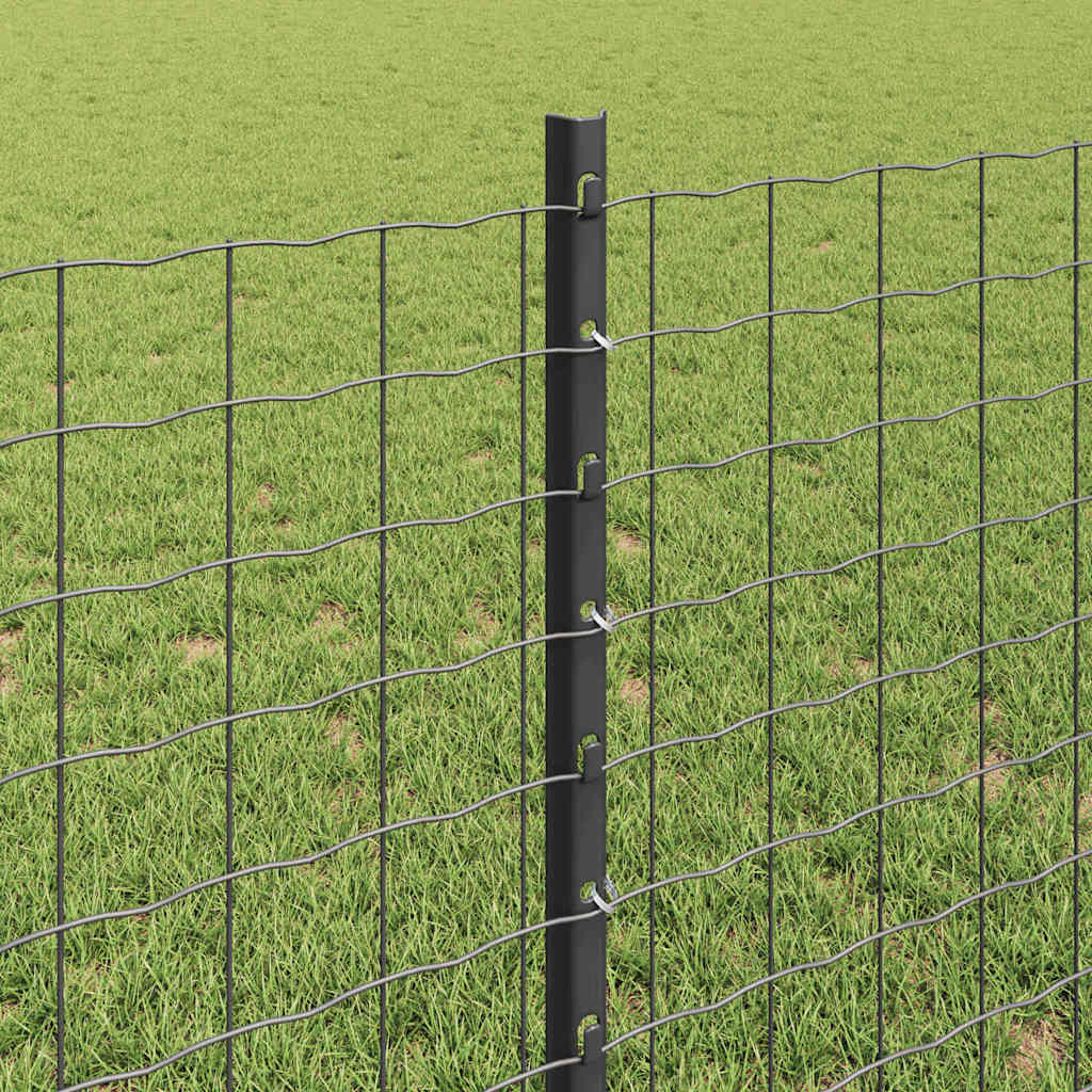 Zavarena žičana ograda 25 x 0,8 m (Š x V) Čelik premazan PVC-om