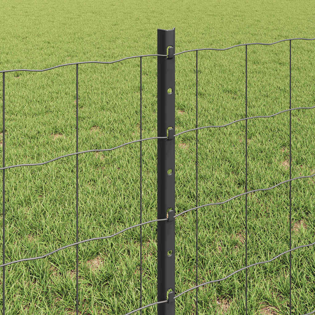 Zavarena žičana ograda 25 x 0,6 m (Š x V) Čelik premazan PVC-om