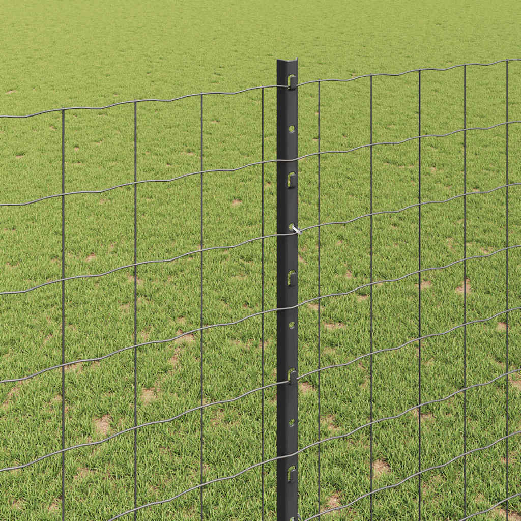 Zavarena žičana ograda 10 x 1,6 m (Š x V) Čelik premazan PVC-om