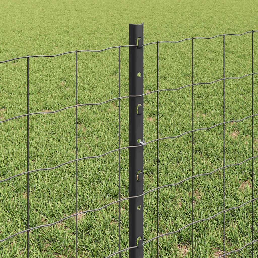 Zavarena žičana ograda 50 x 0,6 m (Š x V) Čelik premazan PVC-om