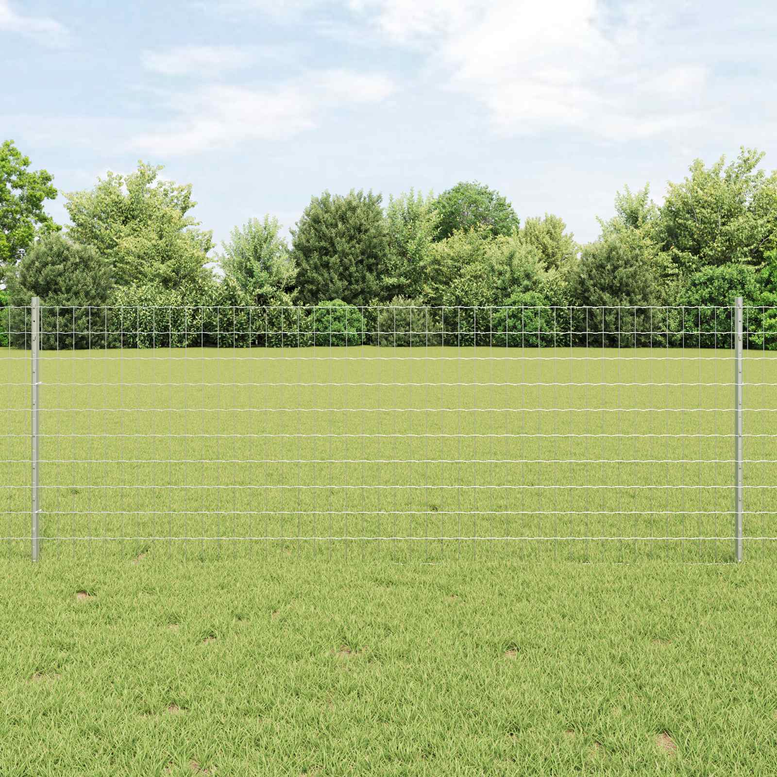 Zavarena žičana ograda 10 x 0,8 m (Š x V) Vruće pocinčani čelik