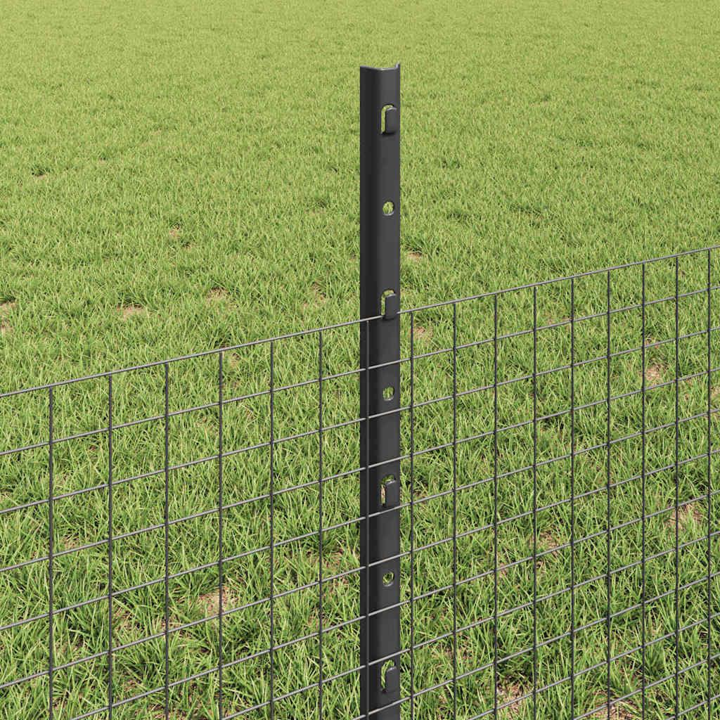 Zavarena žičana ograda s postom 50 x 0,5 m (Š x V)
