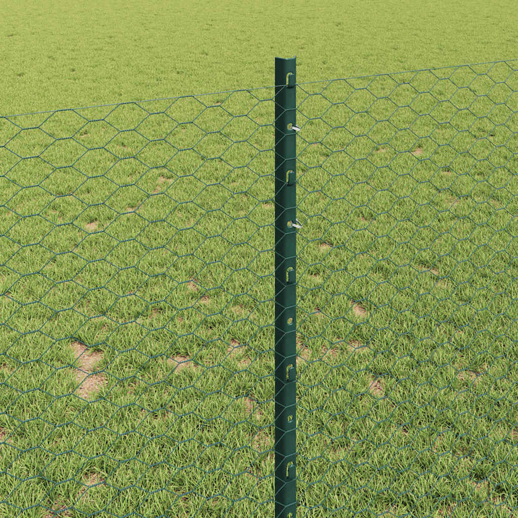 Zavarena žičana ograda 50 x 1 m (Š x V) Čelik premazan PVC-om