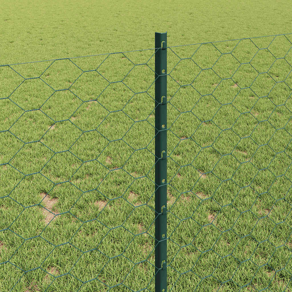 Zavarena žičana ograda 100 x 1 m (Š x V) Čelik premazan PVC-om