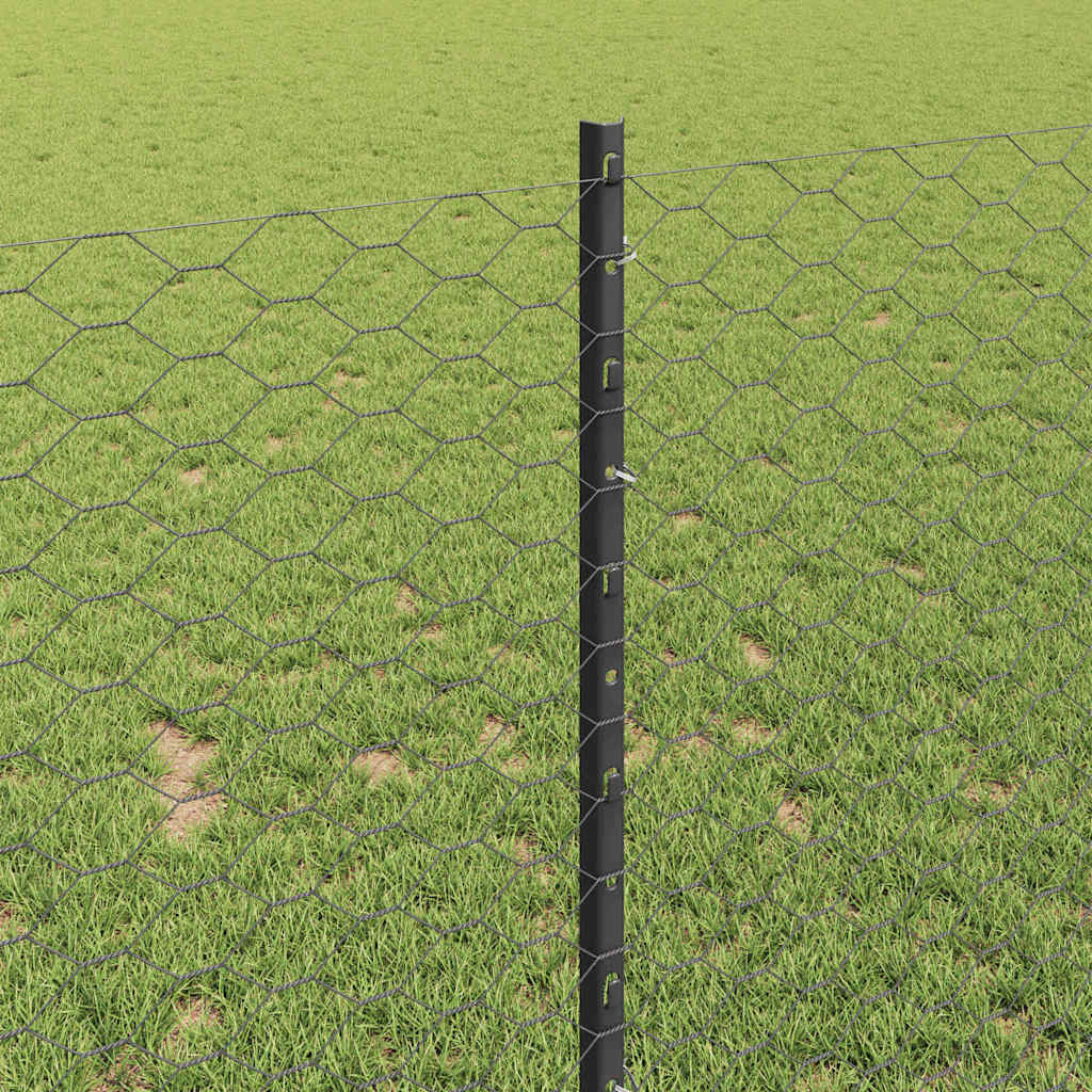 Zavarena žičana ograda 10 x 1 m (Š x V) Čelik premazan PVC-om