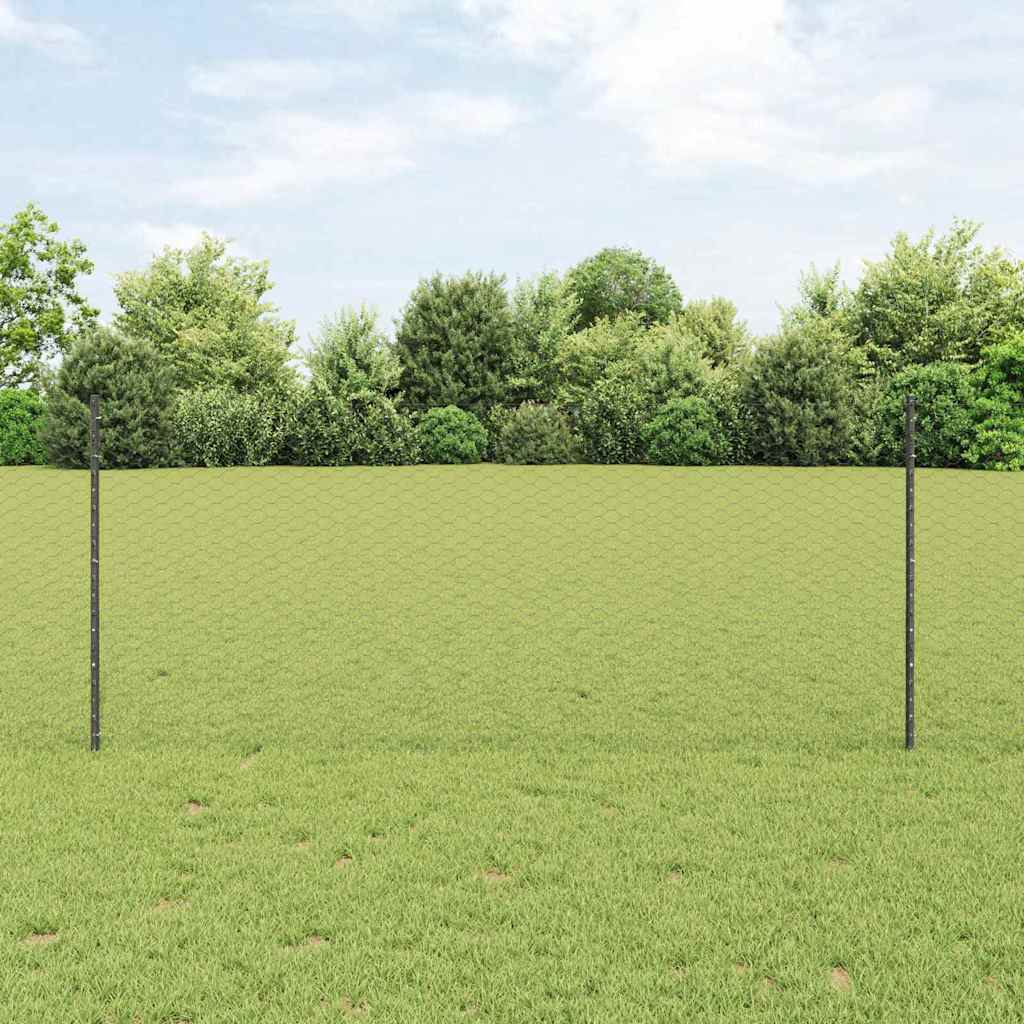 Zavarena žičana ograda 10 x 1 m (Š x V) Čelik premazan PVC-om