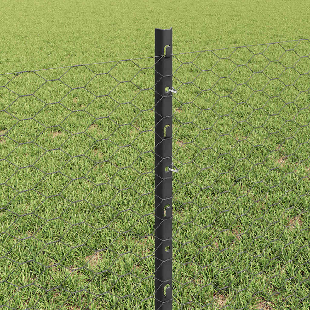Zavarena žičana ograda 50 x 0,6 m (Š x V) Čelik premazan PVC-om