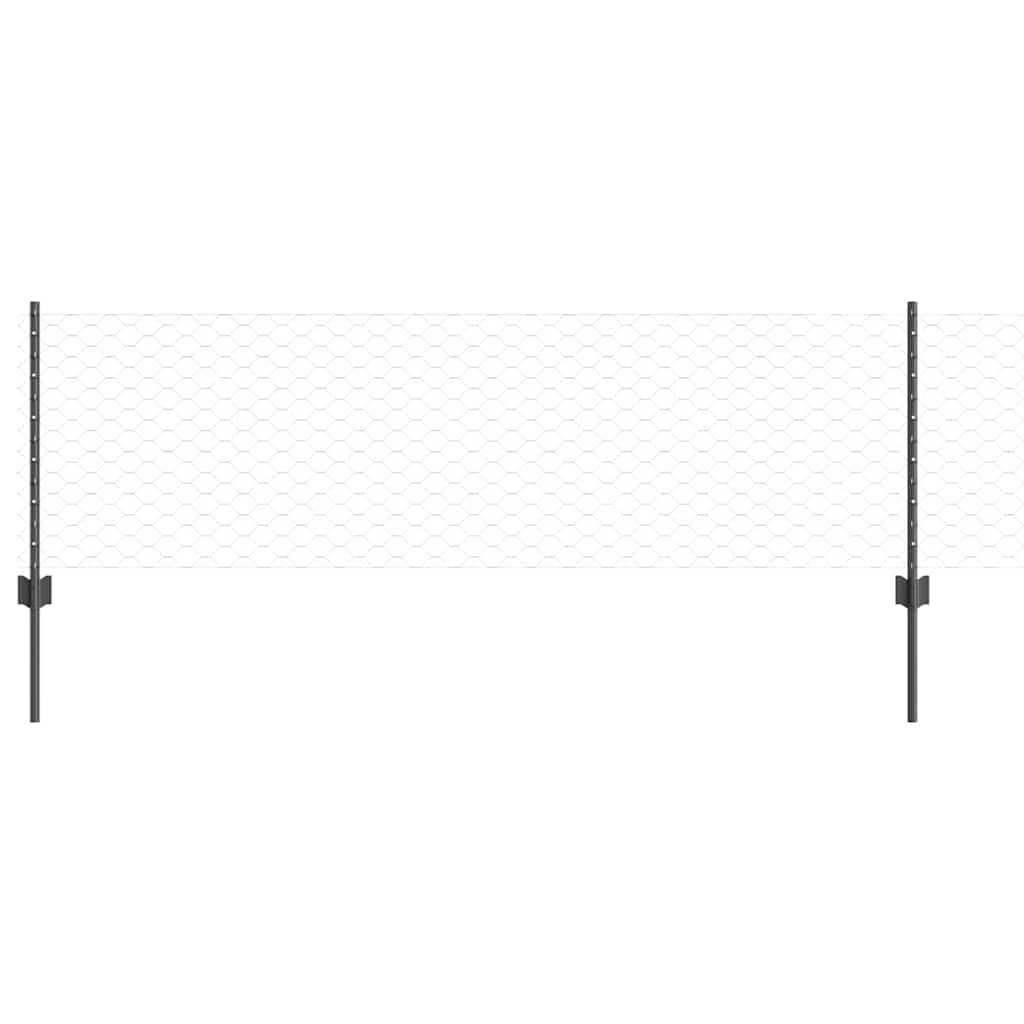 Zavarena žičana ograda 50 x 0,6 m (Š x V) Čelik premazan PVC-om
