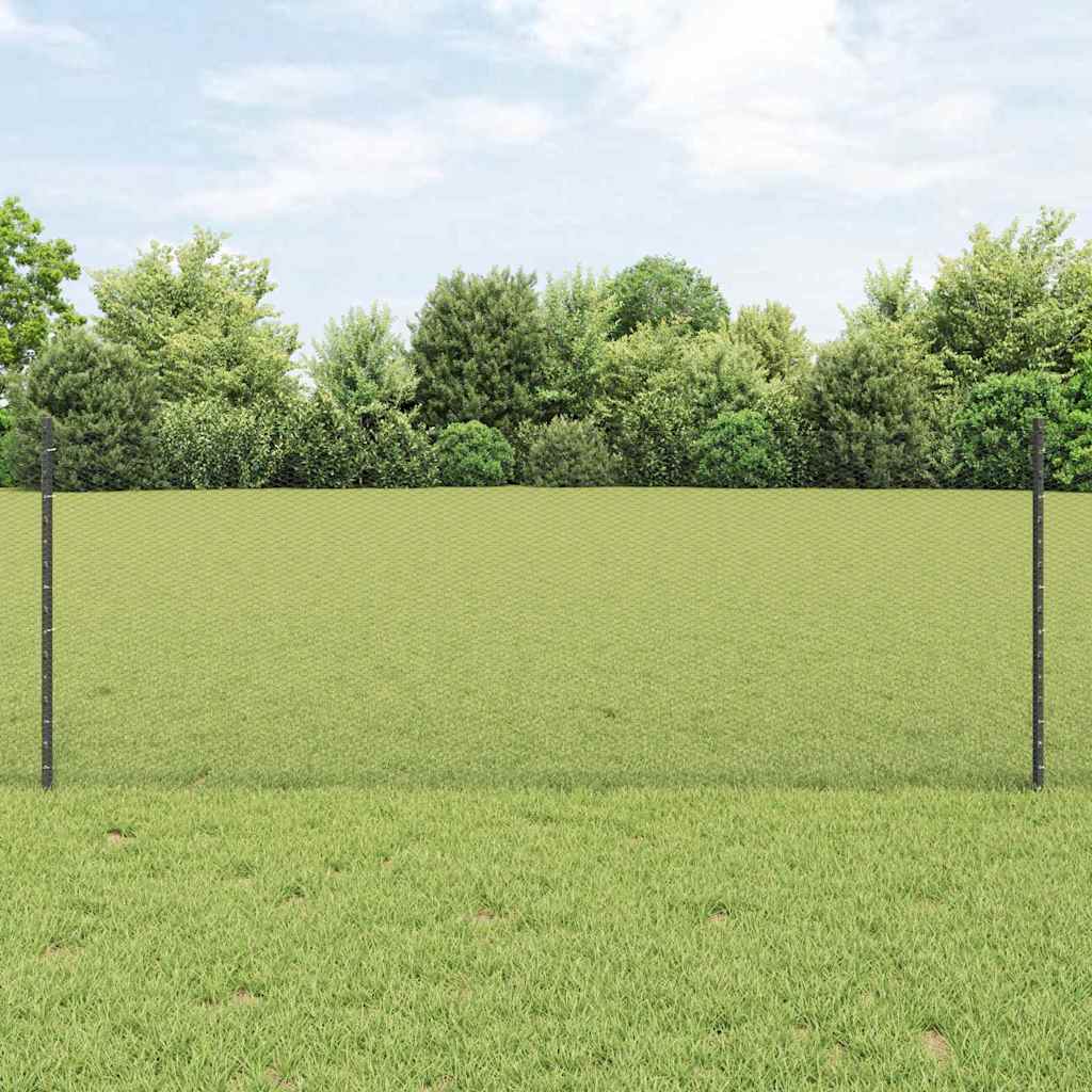 Zavarena žičana ograda 50 x 0,8 m (Š x V) Čelik premazan PVC-om