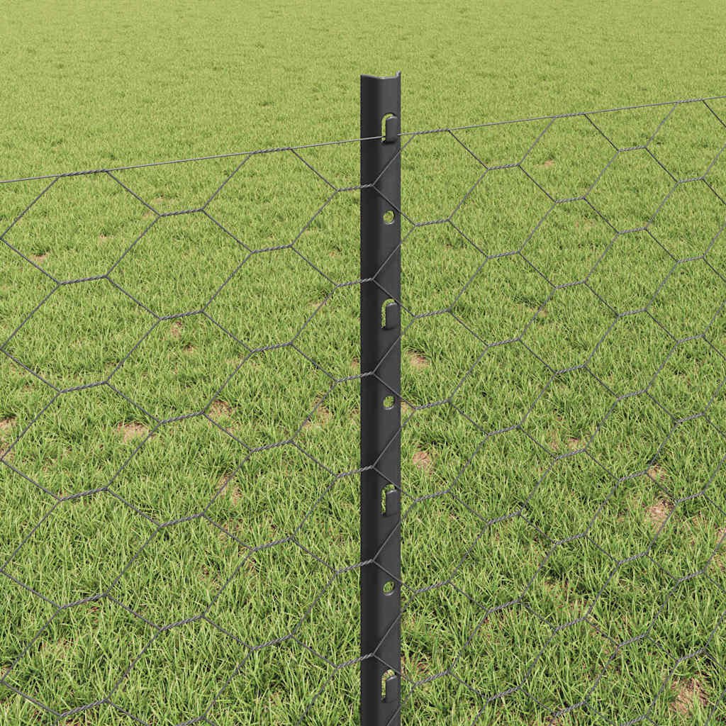 Zavarena žičana ograda 50 x 0,8 m (Š x V) Čelik premazan PVC-om