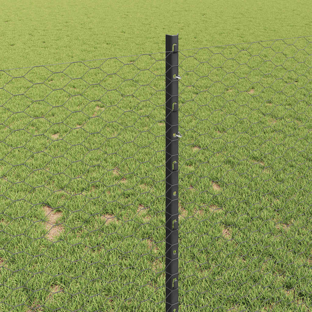 Zavarena žičana ograda 50 x 1 m (Š x V) Čelik premazan PVC-om