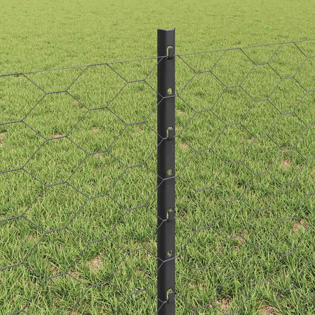 Zavarena žičana ograda 100 x 0,6 m (Š x V)