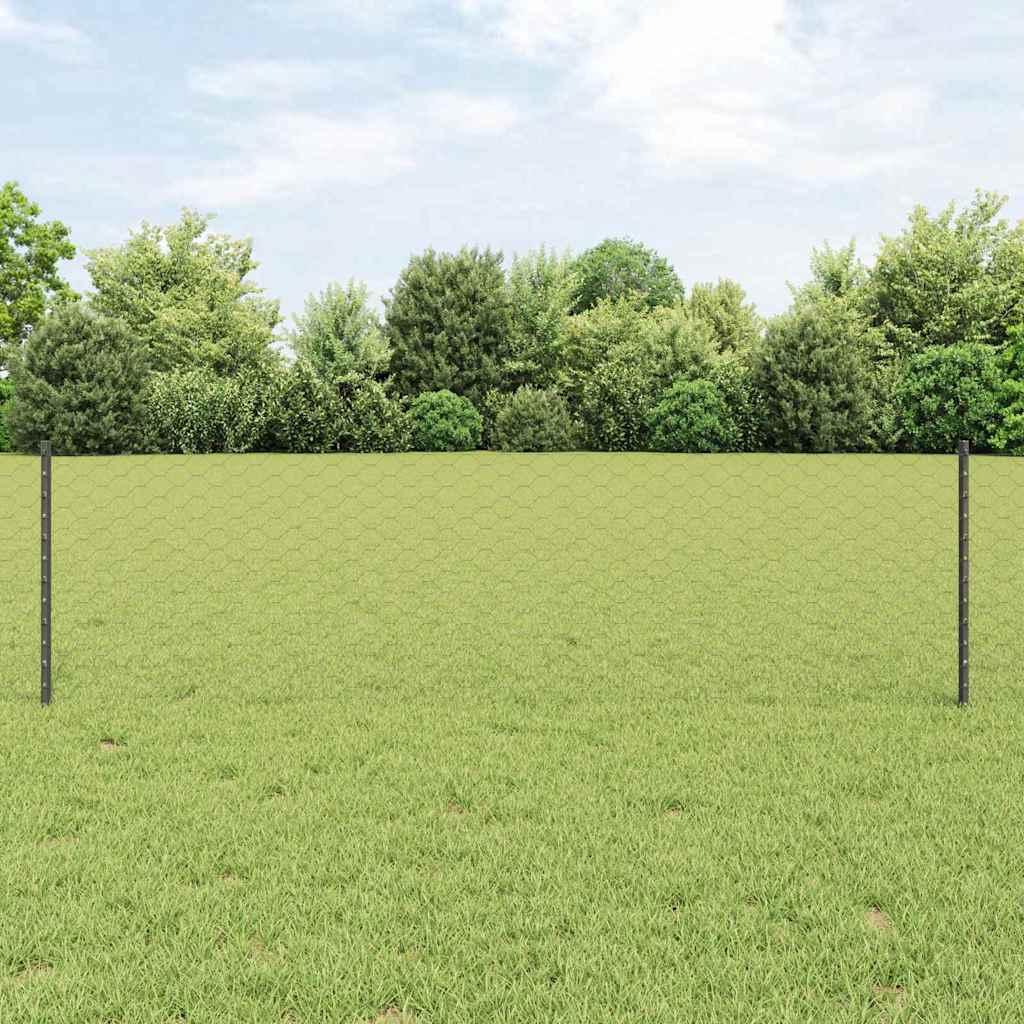 Zavarena žičana ograda 100 x 0,6 m (Š x V)